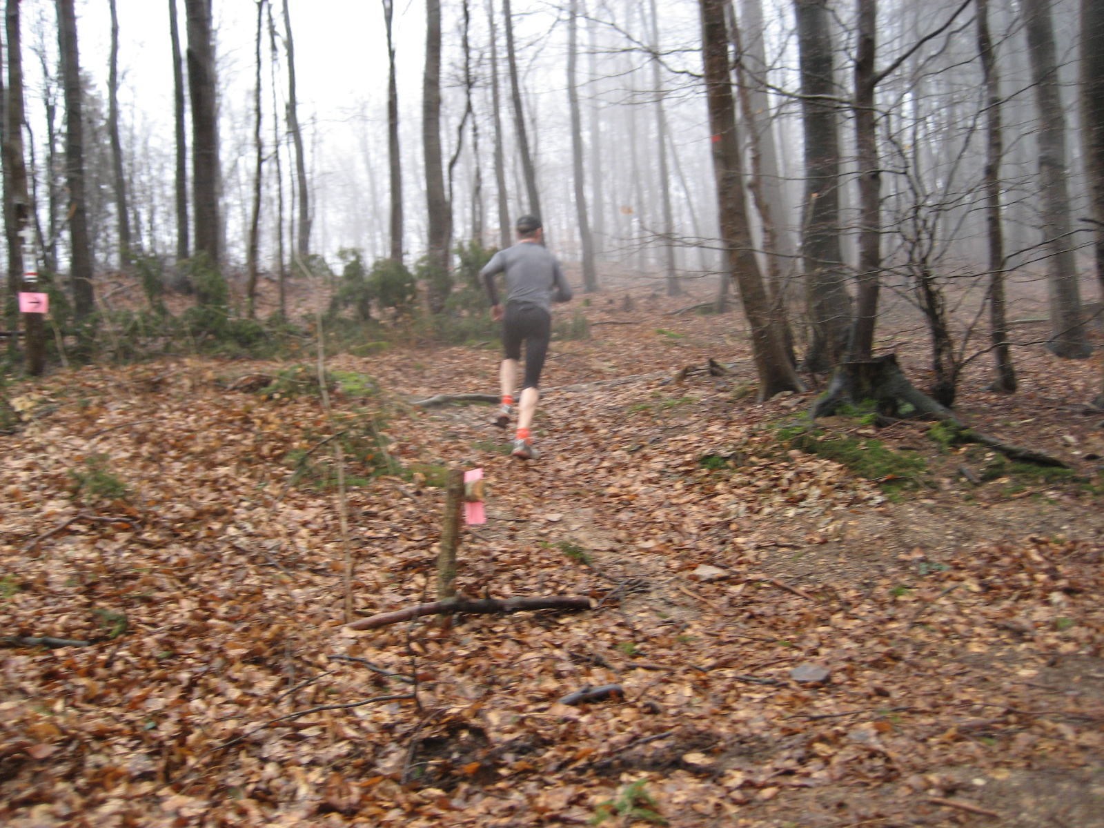 rockie-lauf jan 007.jpg